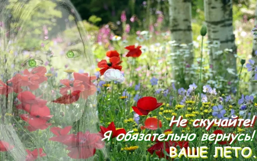 Я вернусь... Ваше Лето