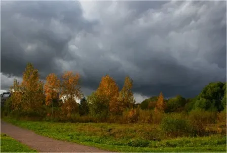 Затуманилась думами осень...