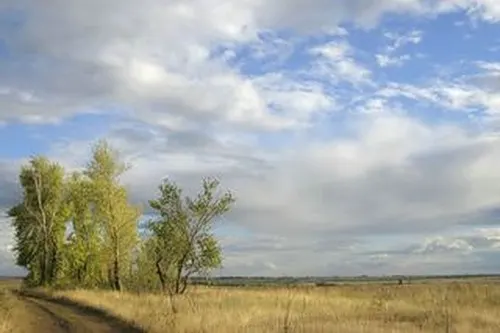 Спасибо вам края мои родные...