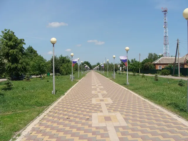 Я поэт, уходящей деревни...