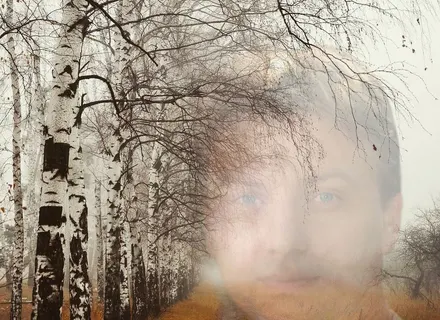 «Берёзовая грусть»