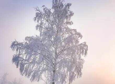 А душа грустно смотрит...